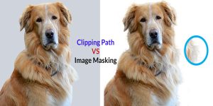 clipping-path-vs-masking