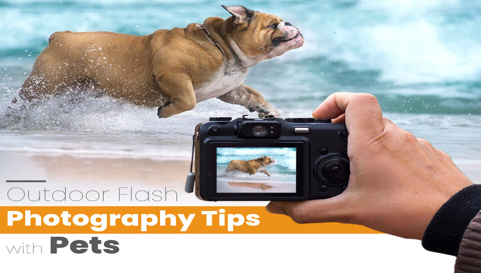 Outdoor Flash Photography Tips with Pets